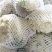 精品青梗白面有机花菜,花白根平无黑点,价格合理,全国代发