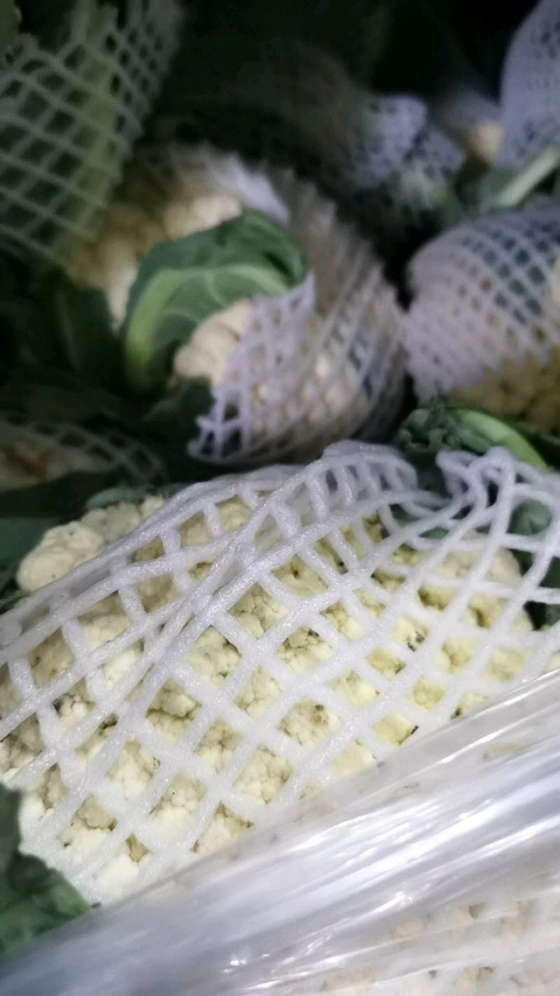 精品青梗白面有机花菜，花白根平无黑点，价格合理，全国代发