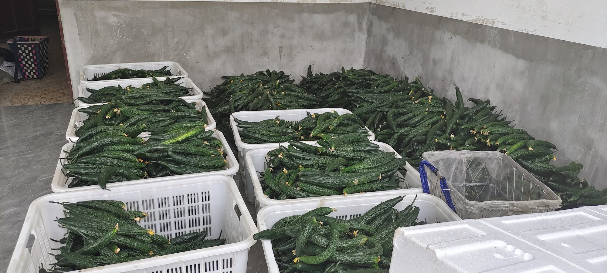 熟透的黄色木瓜放在果篮中