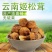 姬松茸批发
