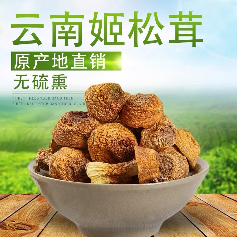 姬松茸批发