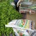 腐植酸发酵鸡粪、发酵鸡粪加菌有机肥料、纯鸡粪发酵肥