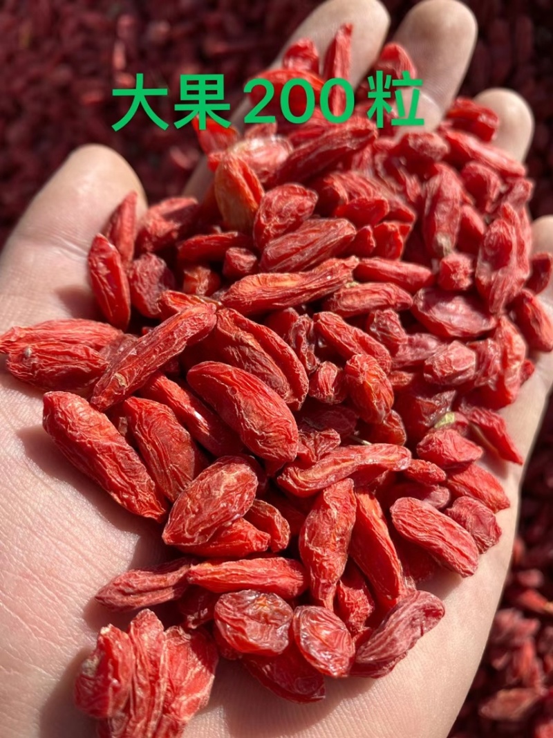 青海柴达木盆地，诺木洪精选红枸杞~颜色漂亮~足斤足两