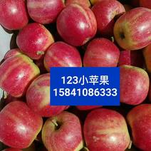 （水果主产区专业代办）产地诚信代办123小苹果。即将上市
