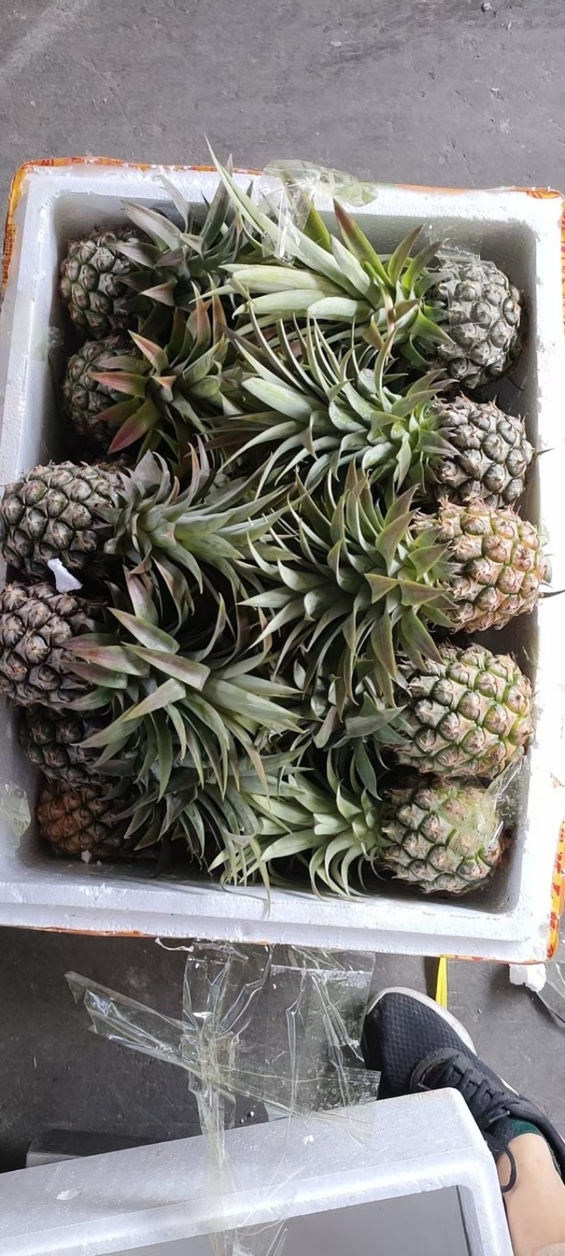 海南金钻，香水，手撕凤梨上市，基地直发，品质保证！