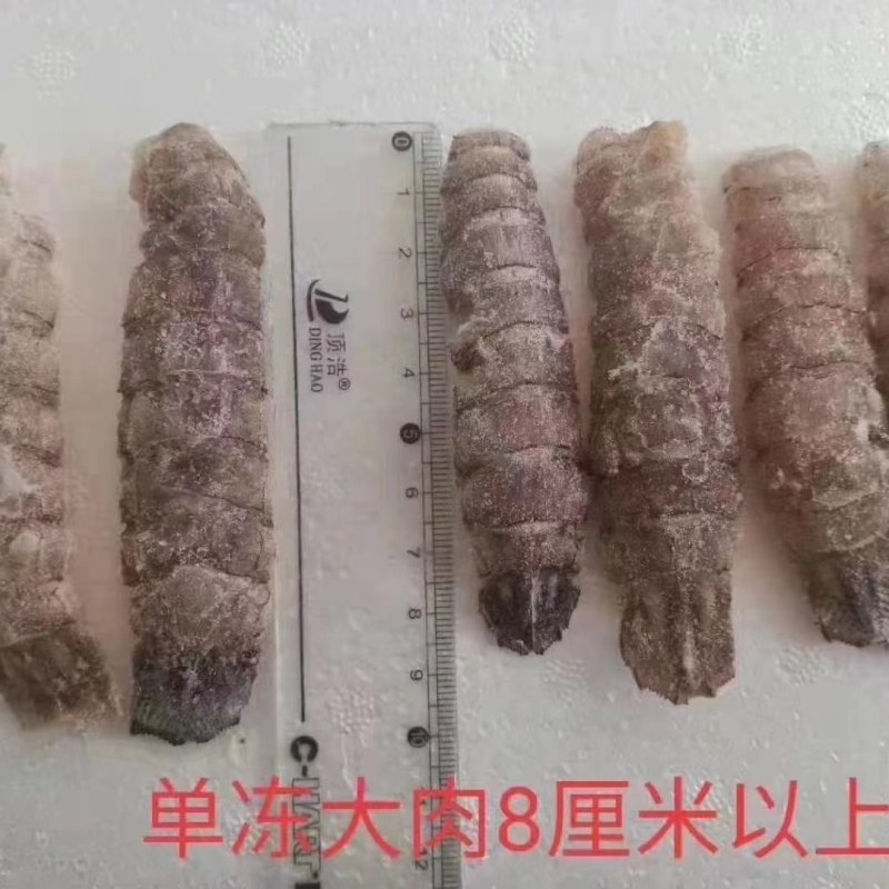 皮皮虾。虾爬子