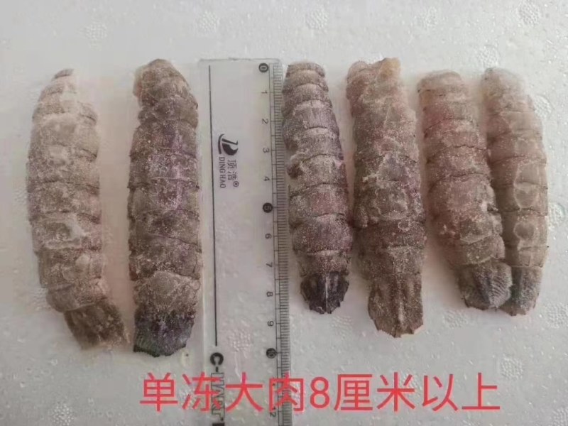皮皮虾。虾爬子