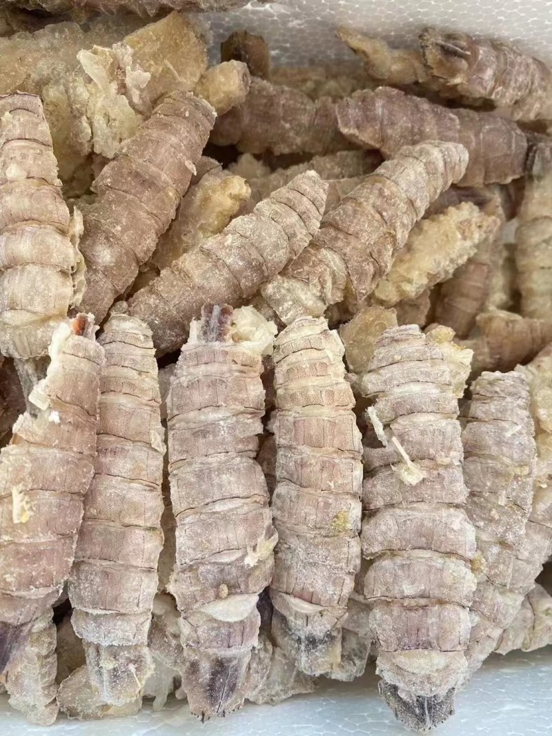 皮皮虾。虾爬子