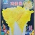 鸡蛋黄白菜种子秋季黄心大白菜种籽耐寒快菜籽好吃抗病高产