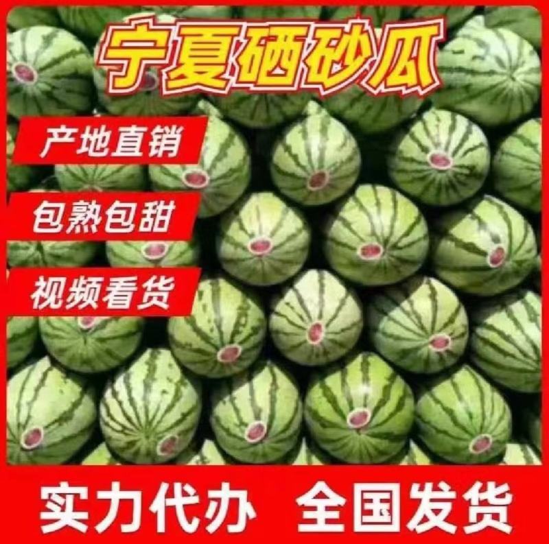 热销金城五号西瓜皮薄个大头茬精品产地直发包熟包甜一手货源