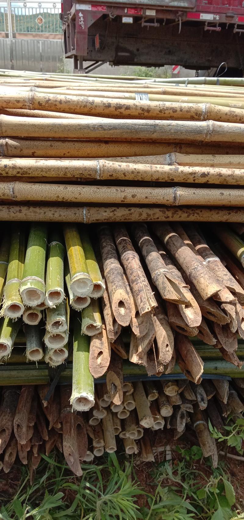 冬瓜竹，正宗黄金竹，石山上的竹子，耐用，硬性好，一次使用