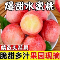《优选》陕西蜜桃大红毛桃一手货源大量有货抓紧时间订购