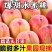 《优选》陕西蜜桃大红毛桃一手货源大量有货抓紧时间订购