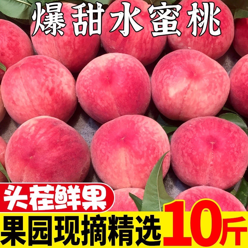 《优选》陕西蜜桃大红毛桃一手货源大量有货抓紧时间订购