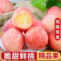 《优选》纸袋美脆桃大色红，低色发白，色泽鲜艳，果型好，