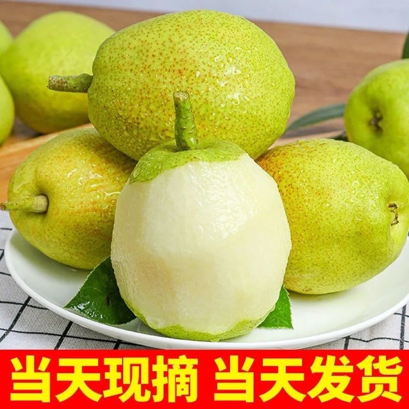 《推荐》陕西咸阳乾县砀山纸袋香梨，果面细腻，特甜，要的速度