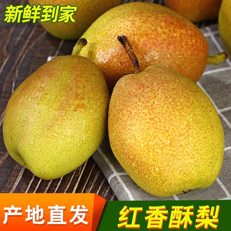 《推荐》陕西咸阳乾县砀山纸袋香梨，果面细腻，特甜，要的速度