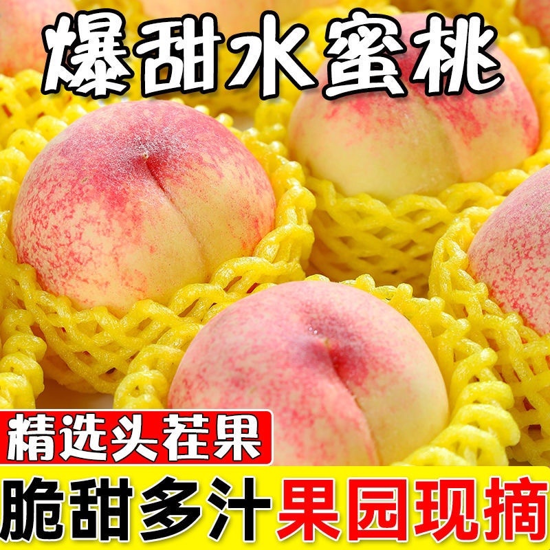 《精品》陕西红不软毛桃一手货源批发量大。抓紧时间订购