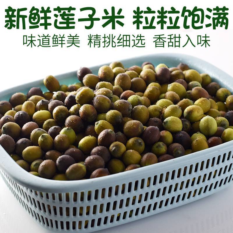 【精品】新鲜莲子青莲子新鲜草莲白莲子大量供应麻莲子