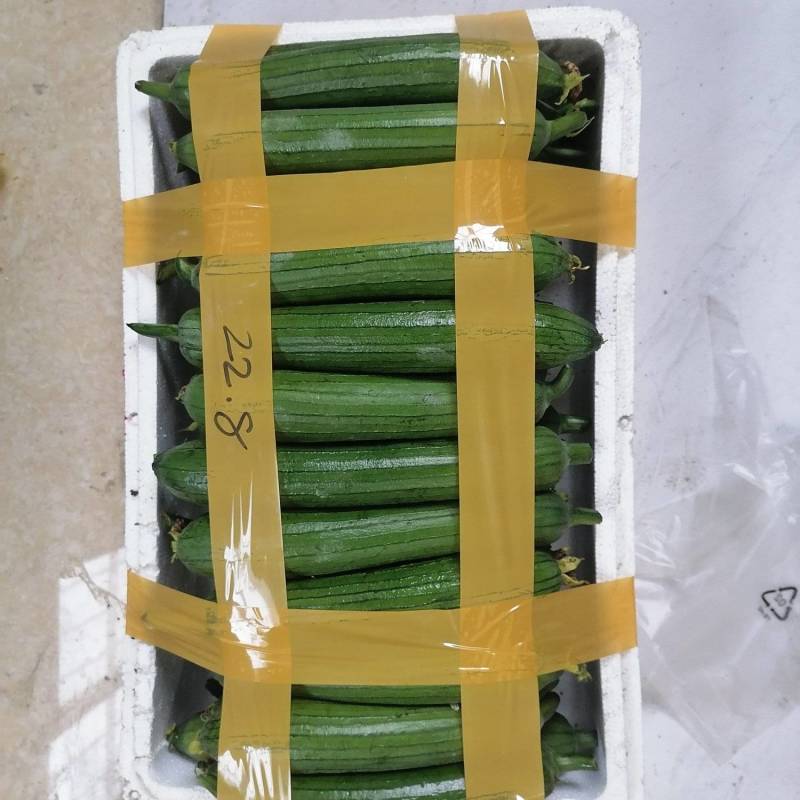 无锡香丝瓜欢迎上海周边新老客户选购非诚勿扰谢谢