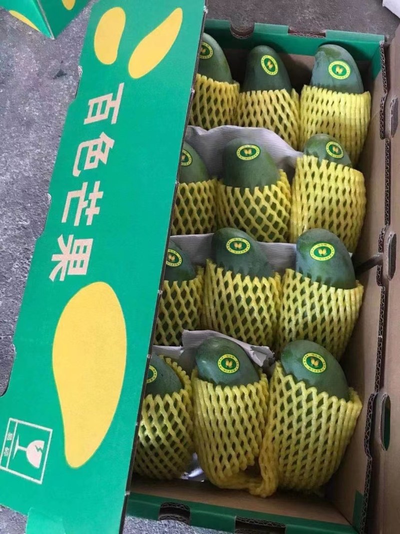 芒果，桂七芒果