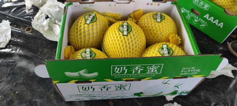 精品正圆玉姑果面干净