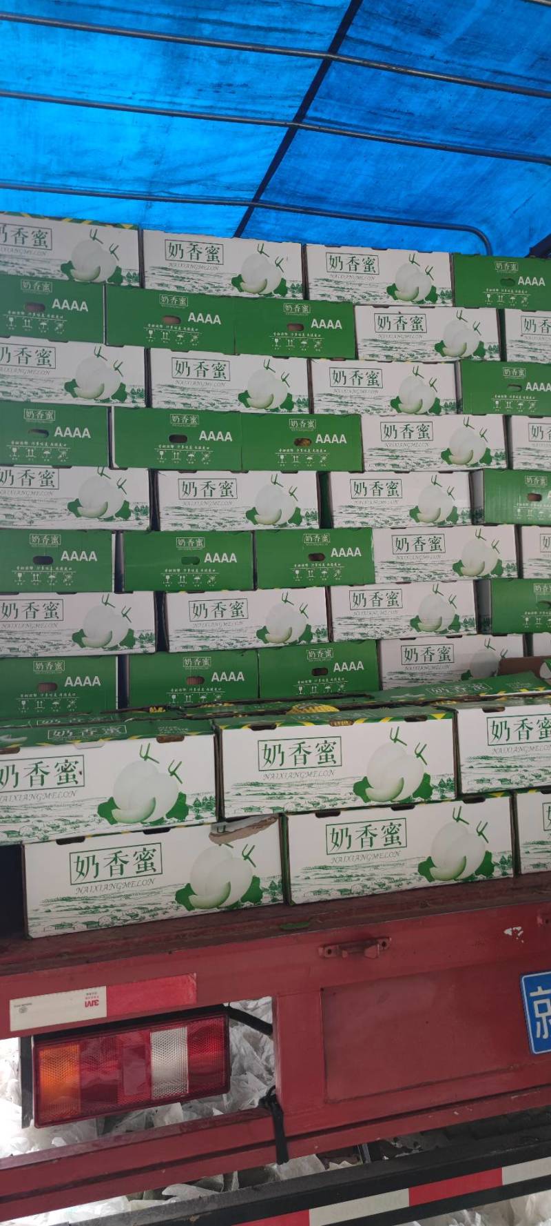 精品正圆玉姑果面干净