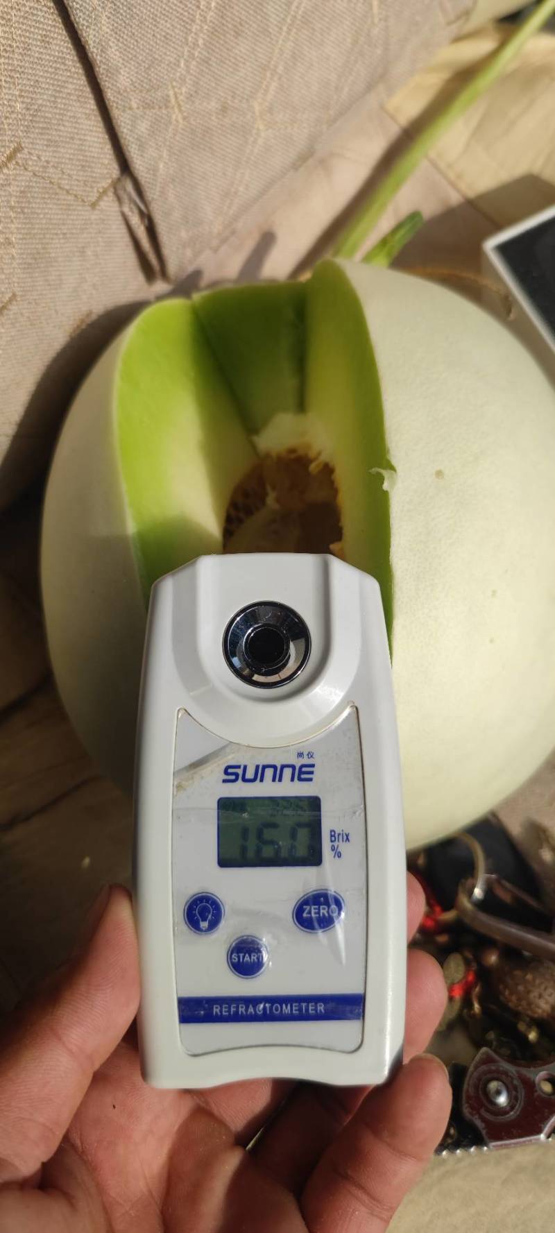 精品正圆玉姑果面干净