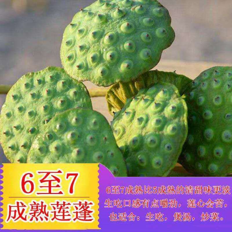 产地直销价格低于市场价，几万亩莲子基地满足你价格数量要求