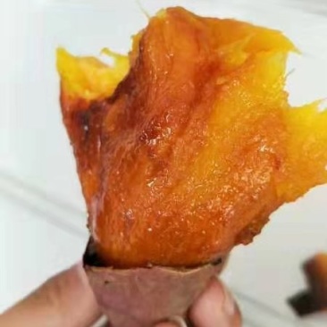 大量出售燕薯西瓜红有需要的联系