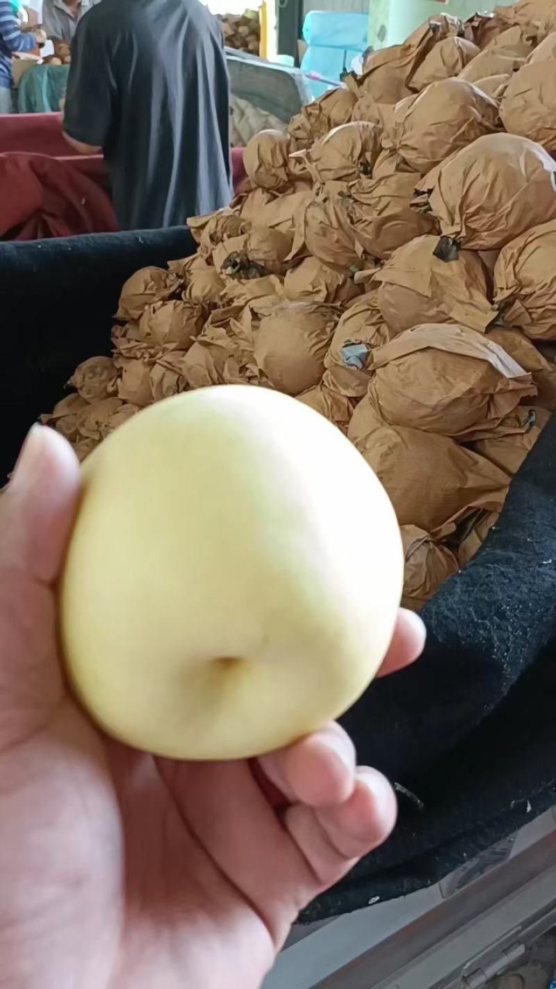 精品皇冠梨，口感脆甜多汁，诚信经营，货源稳定供应