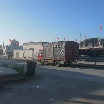 梭子蟹