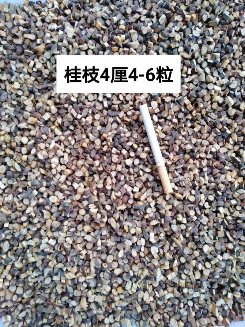 桂枝，桂枝尖，鲜切纯无硫，桂枝新货，大货供应，各种规格