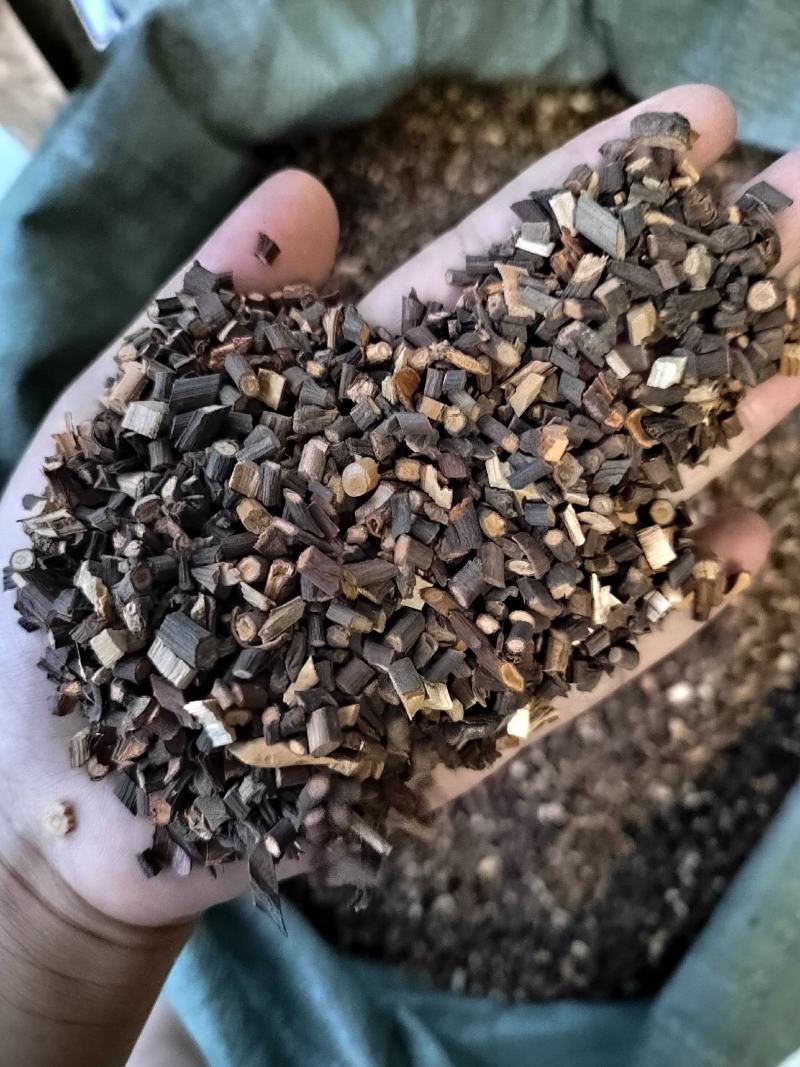 桂枝，桂枝尖，鲜切纯无硫，桂枝新货，大货供应，各种规格