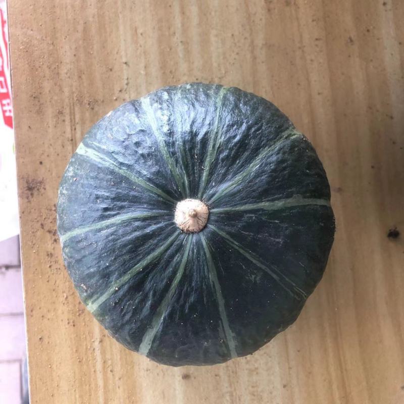 贝贝南瓜