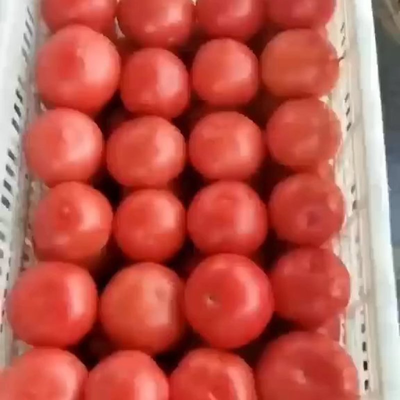 好货不愁卖