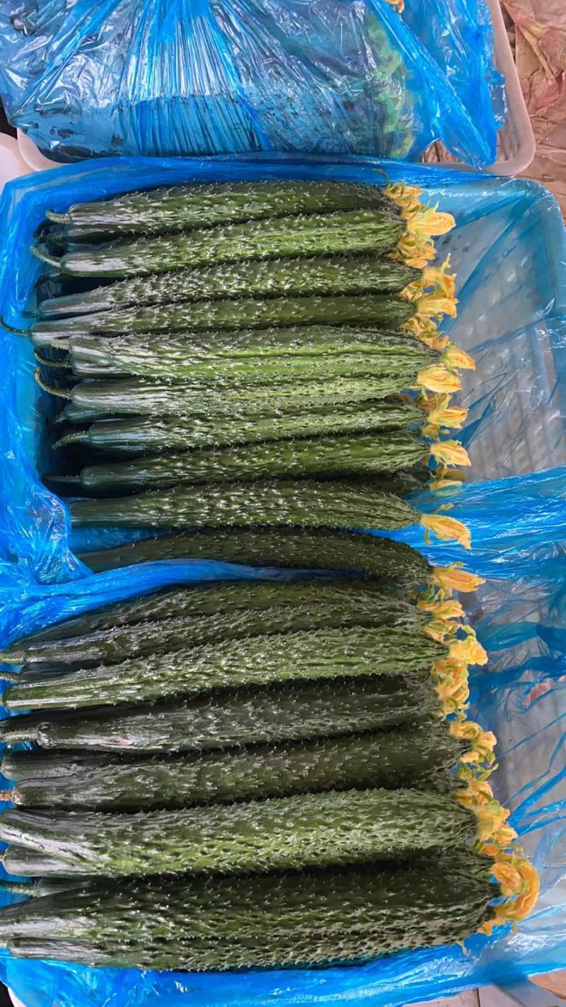 山东精品黄瓜顶花带刺特级黄瓜，有需要的直接电话联系