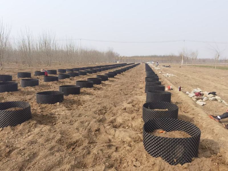 黑色高品质控根器，尺寸可以定做，裁剪，送卡扣，
