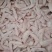 单个25-30克左右，个别也会小点，一公斤36-40个