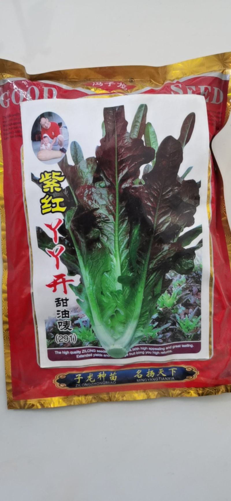 油麦种子紫色油麦菜早熟生长速度快高产甜唛菜