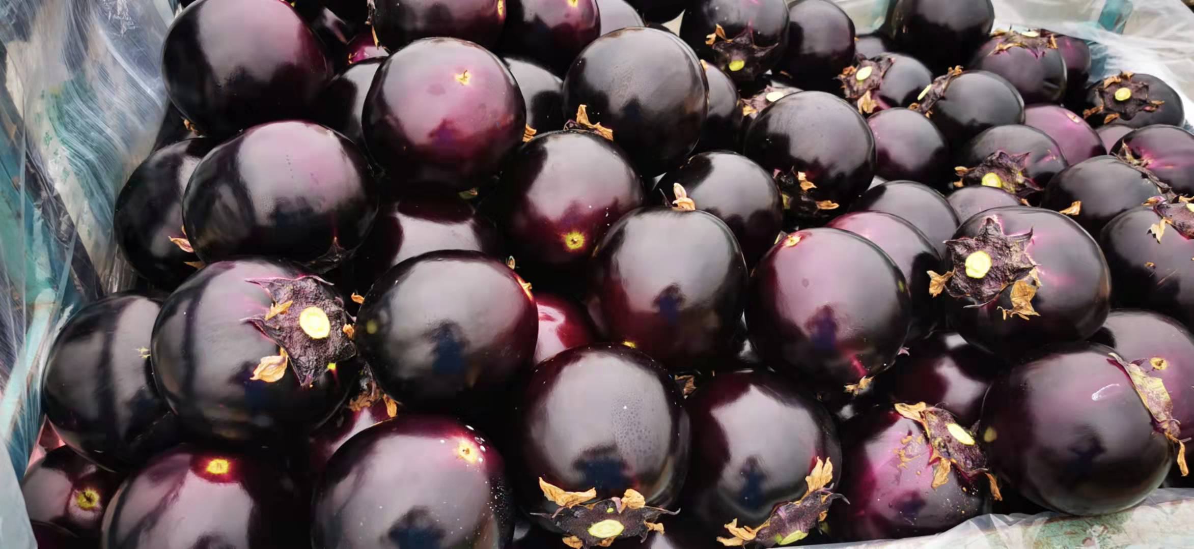 一篮色泽紫亮、形态饱满的新鲜茄子整体展示图,突显其顶部的‘眼睛’部位 新鲜茄子整体外观图