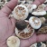 江西高含量枳壳，符合药典标准