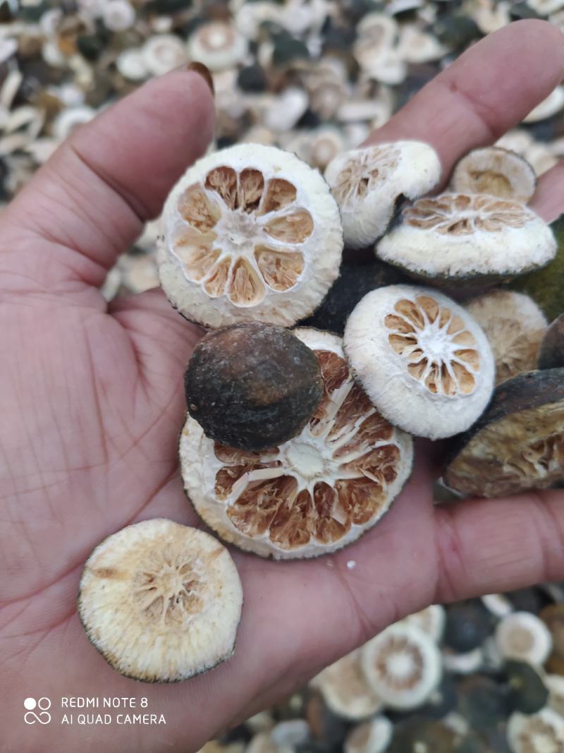 江西高含量枳壳，符合药典标准