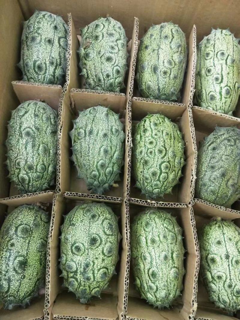 火参果.150元.一亩.包回收