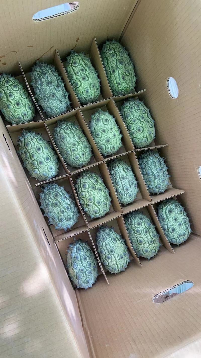 火参果.150元.一亩.包回收