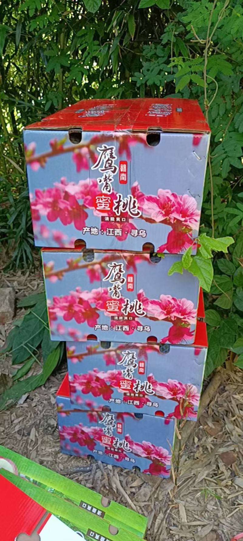 赣南鹰嘴桃货源充足全国发货质量保证，一件代发5斤包邮