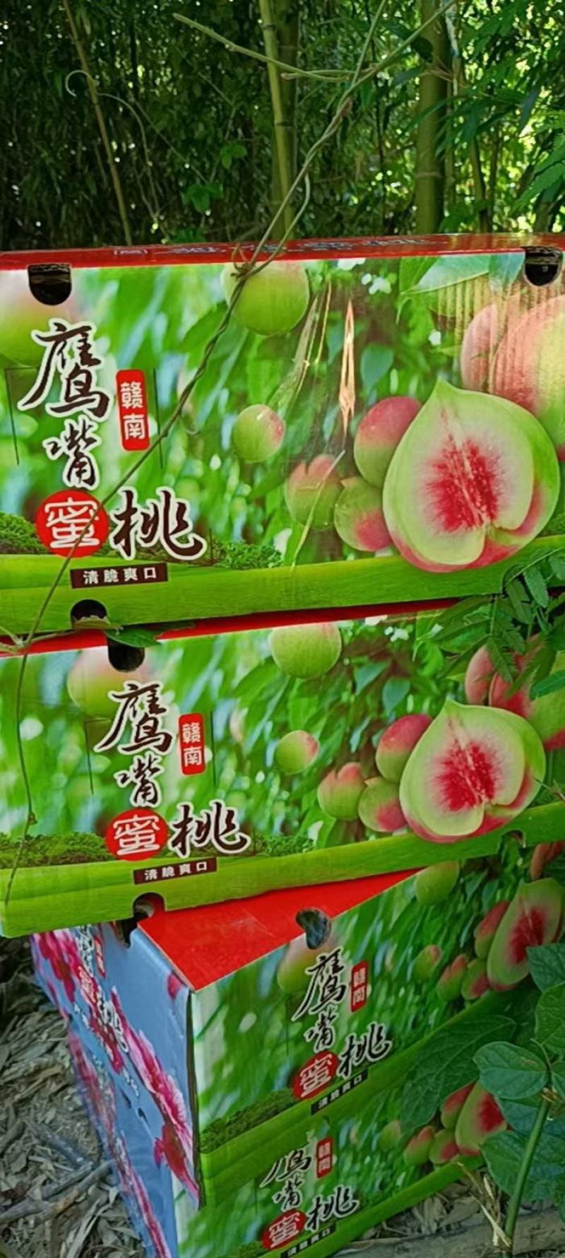 赣南鹰嘴桃货源充足全国发货质量保证，一件代发5斤包邮