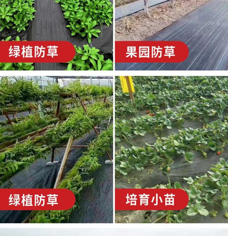 防草布除草布果园果树遮草盖草农用切片打孔园艺地布单张裁米