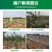 防草布除草布果园果树遮草盖草农用切片打孔园艺地布单张裁米