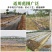 防草布除草布果园果树遮草盖草农用切片打孔园艺地布单张裁米